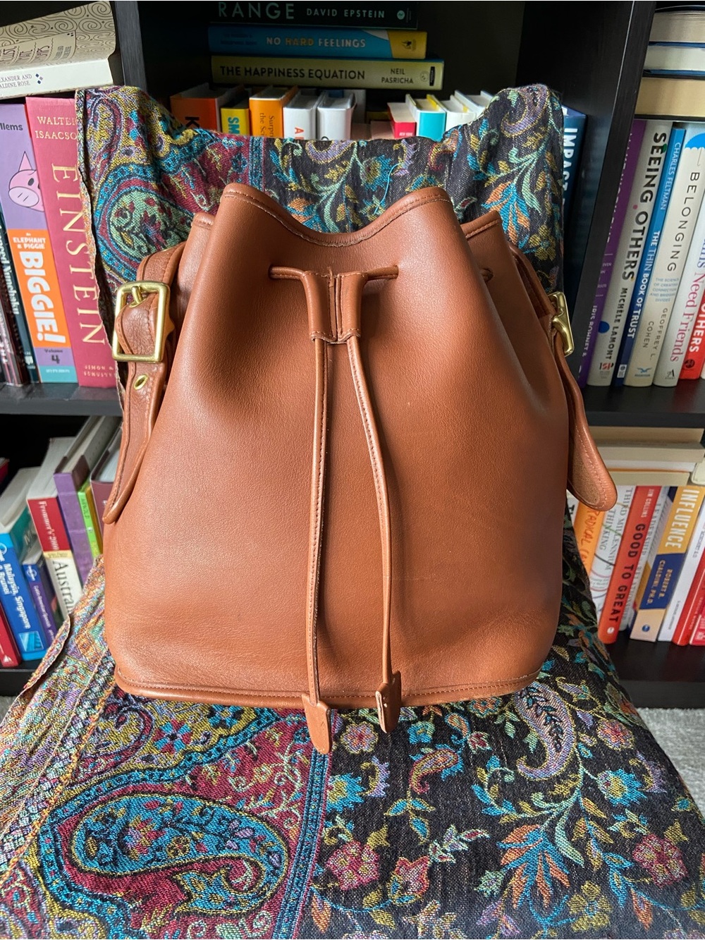 Vintage Coach Lula’s Legacy 9952 in British Tan!